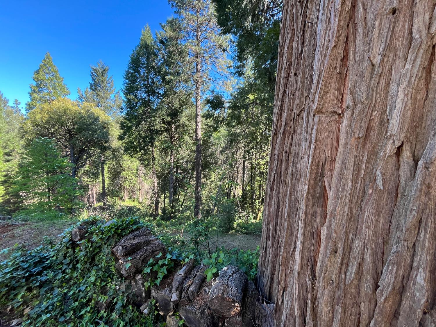 14619 Old Marysville Road