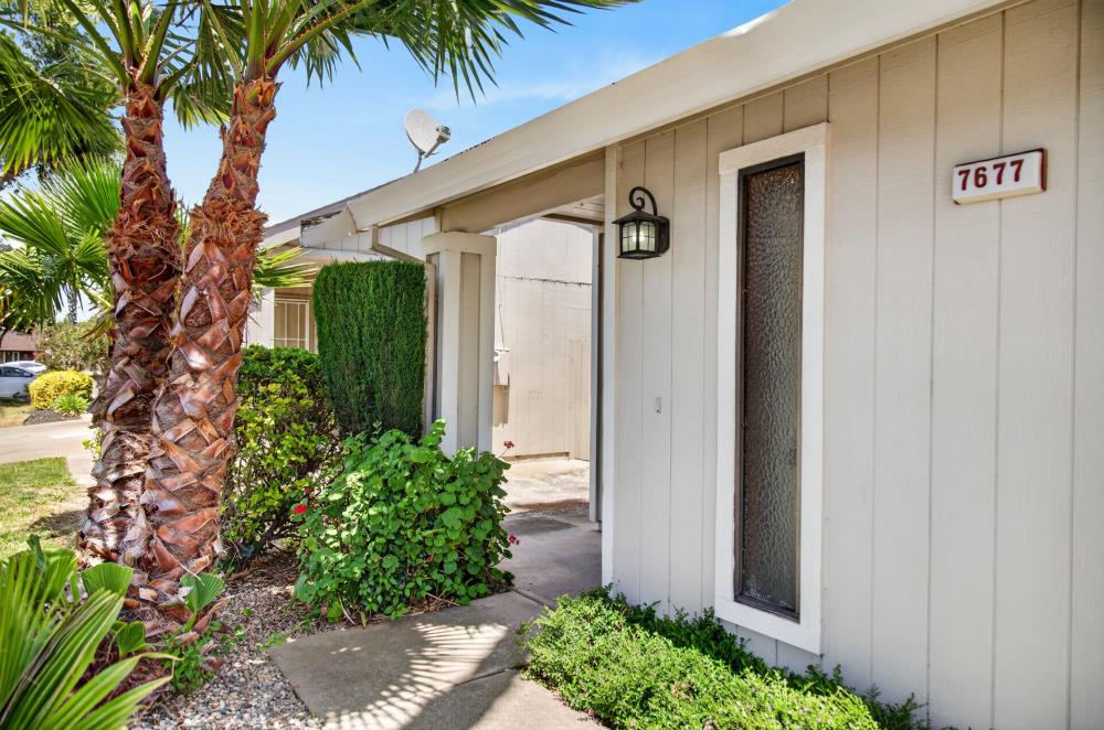 7677 Harvest Woods Drive