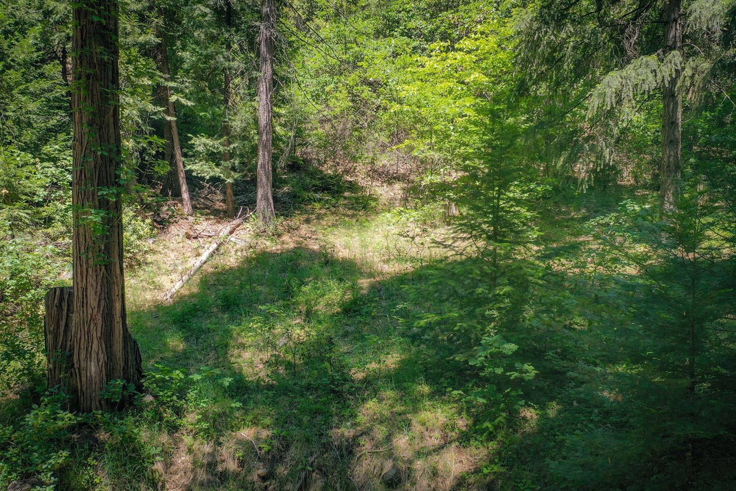 15936 Buckeye Road
