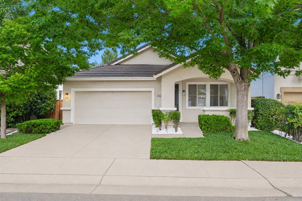 4803 Windsong Street