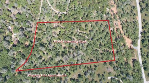 MLS: 225051065