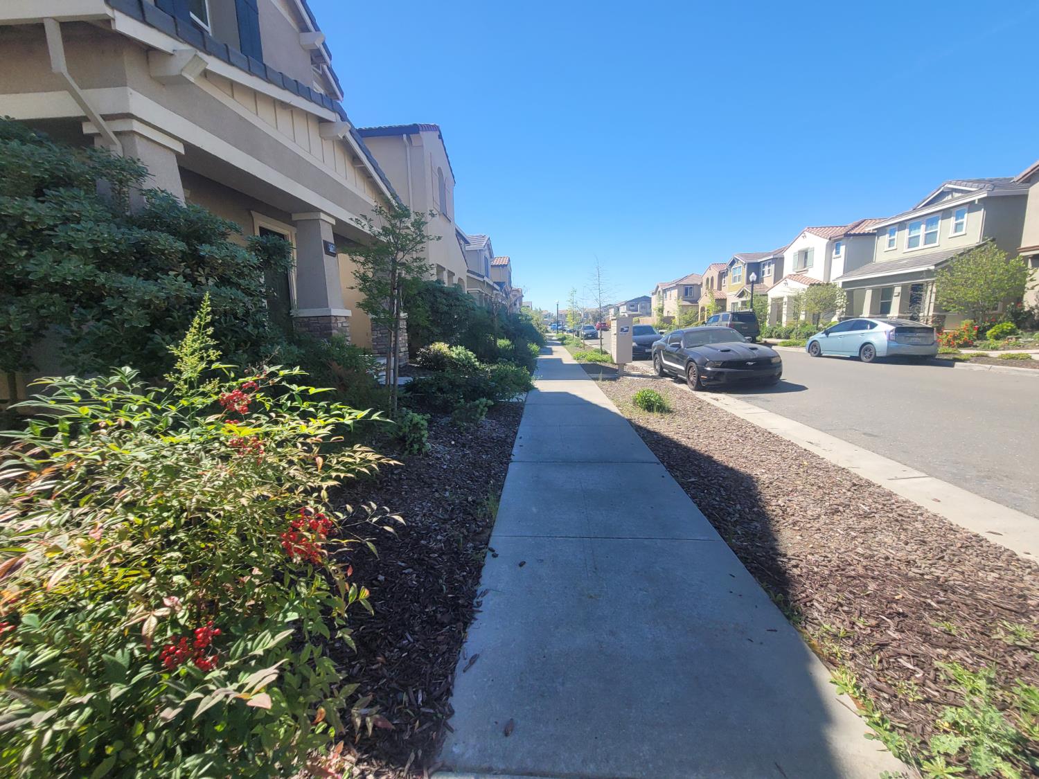 3730 Catalan Sea Avenue