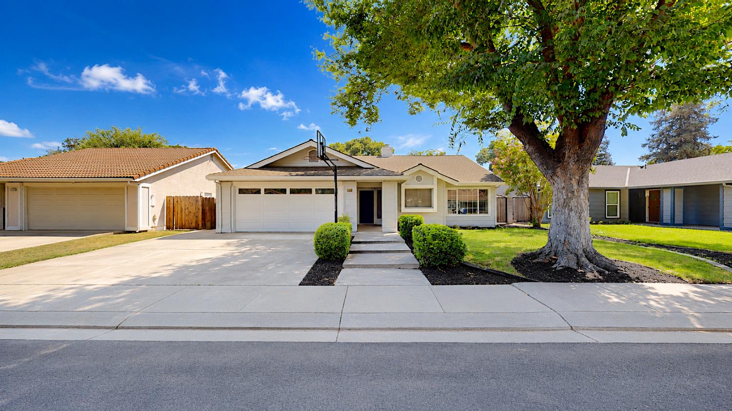 Single-story residence featuring an attached two-car garage, concrete driveway, and a mature tree
