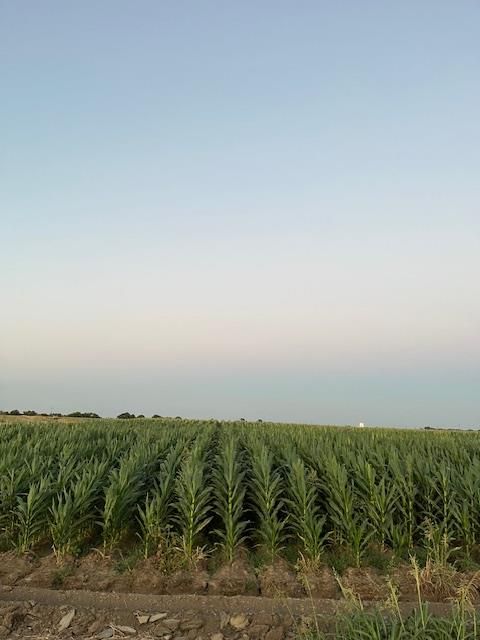 19366 S Lammers Road Tracy CA 95304