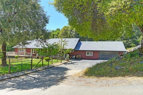4500 Cosumnes View Trail, Placerville, CA 95667 - MLS#: 225021883