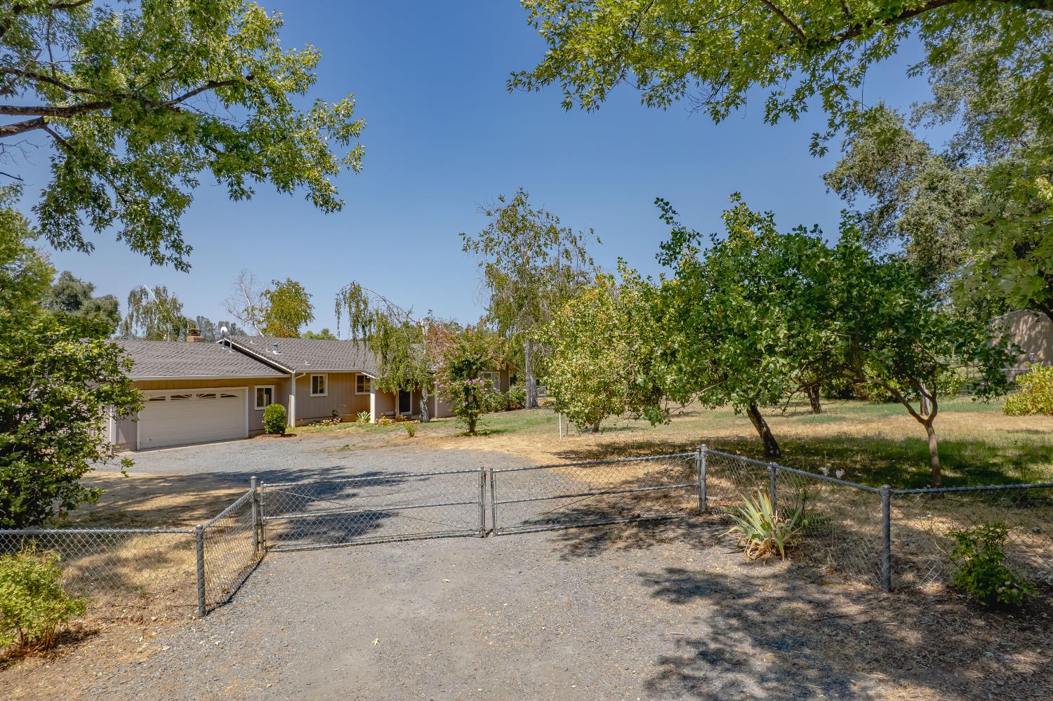 9165 Vista Court