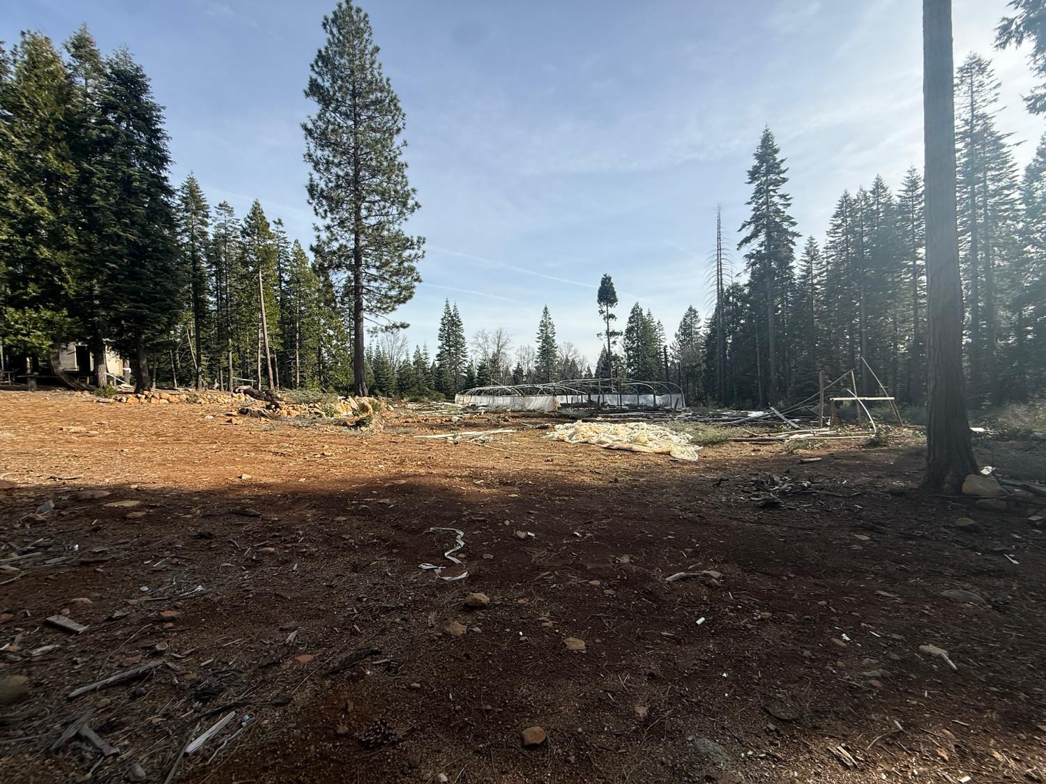 16127 Ophir Silver Road