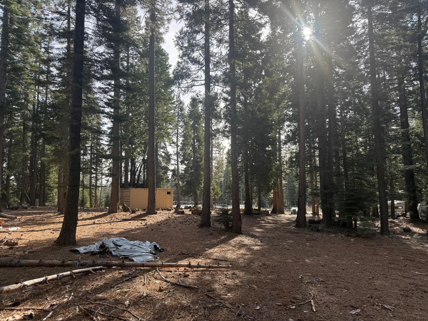 16127 Ophir Silver Road