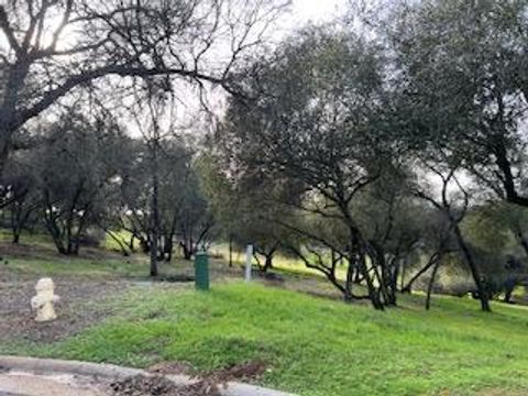 326 Mill Court Angels Camp CA 95222