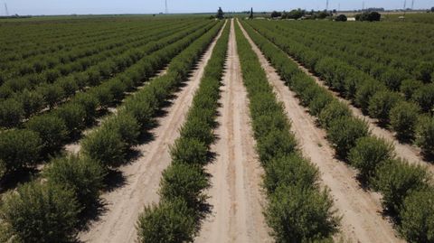 16452 S Marks Avenue Caruthers CA 93609