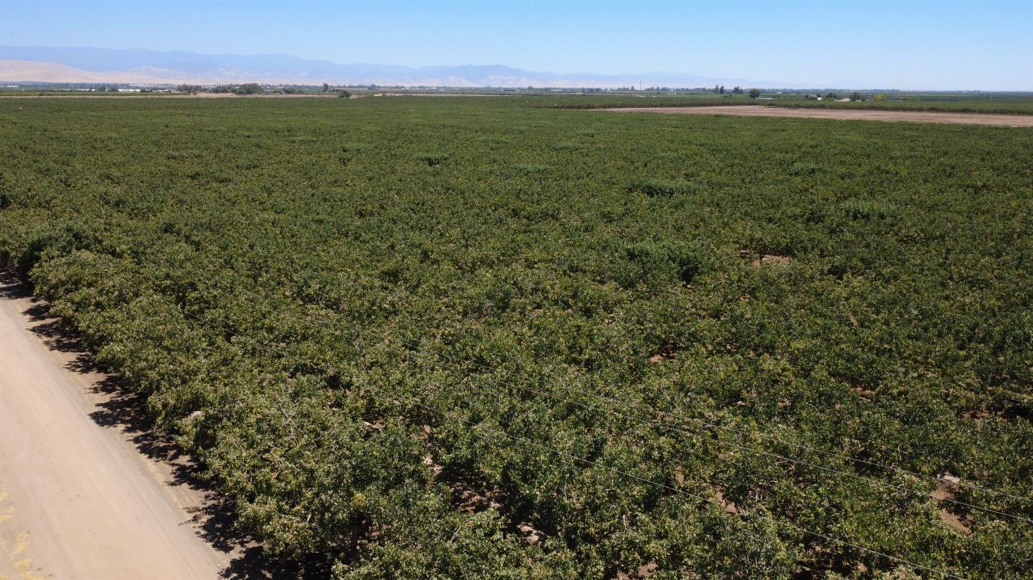 16452 S Marks Avenue