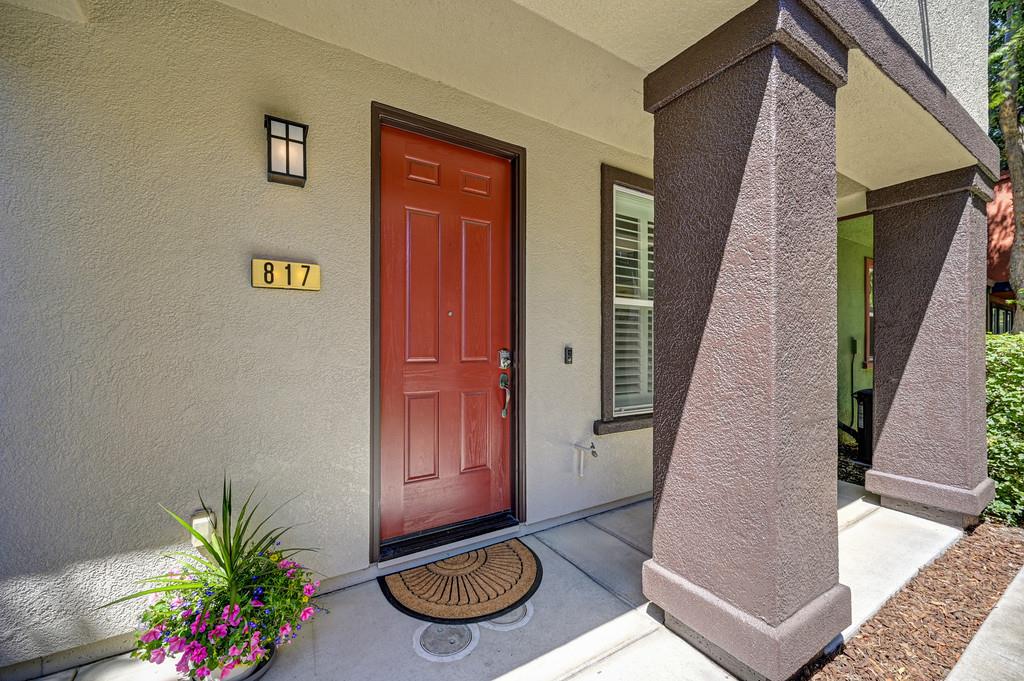 817 Sinter Lane