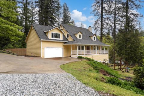 3321 N Canyon Road, Camino, CA 95709 - MLS#: 225025092