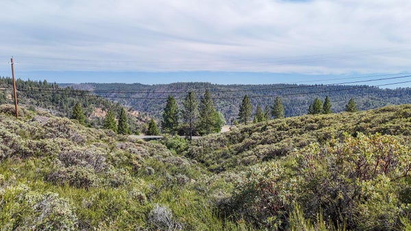 8131 GRIZZLY FLAT RD, SOMERSET, CA 95684 - Image f65da7733507dea8d0e24b75cd15fb02/2750390772