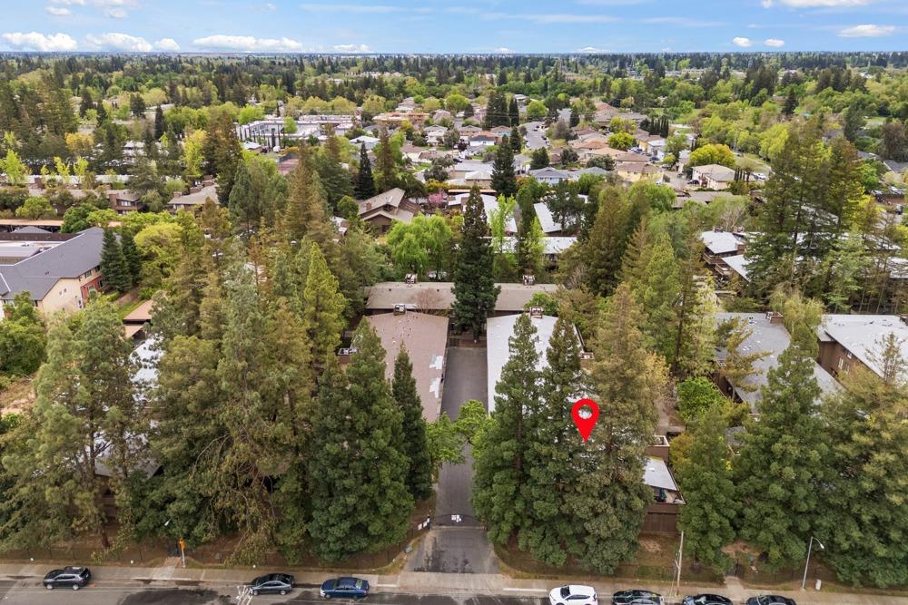 2442 Larkspur Lane 304