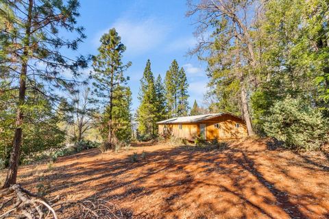 21235 Spring Garden Road Foresthill CA 95631