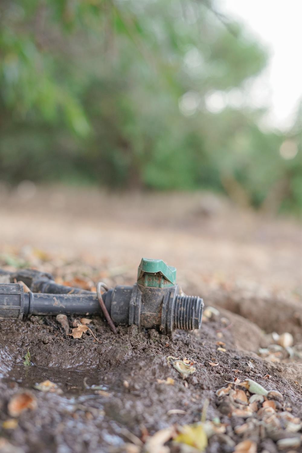 1192 E Gerard Avenue