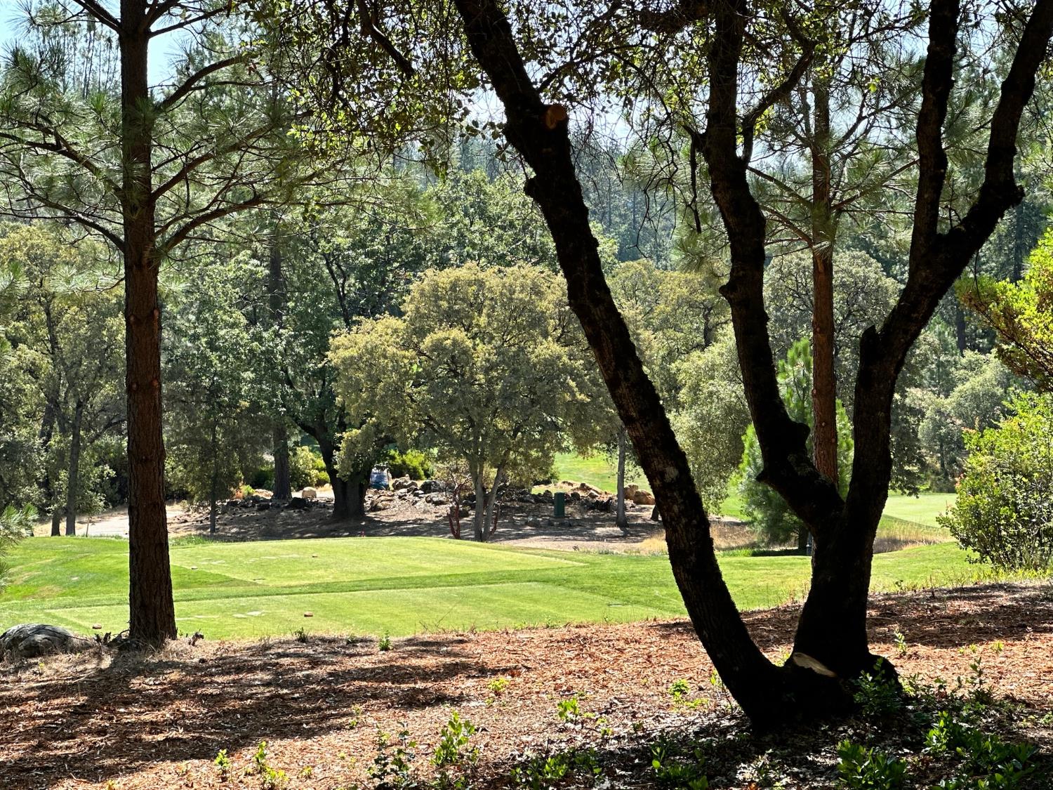 4003 Summit View Court