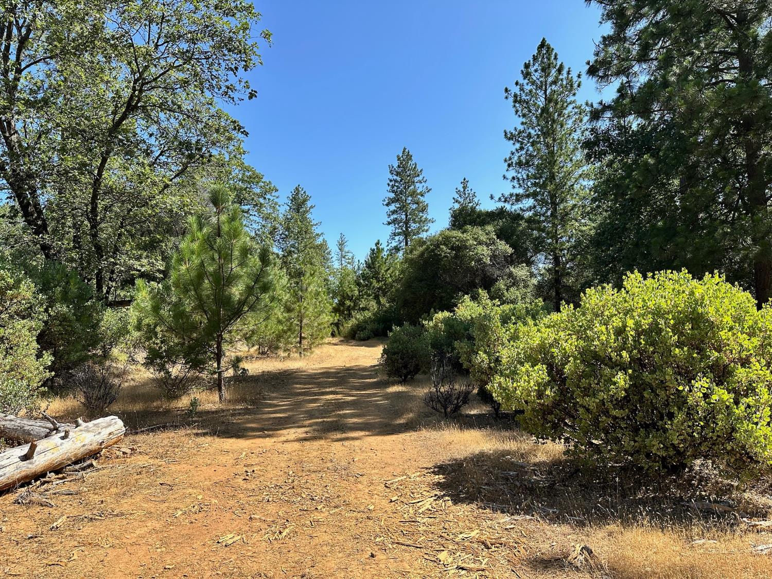 4003 Summit View Court