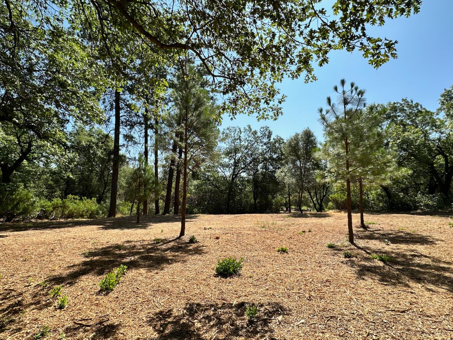 4003 Summit View Court