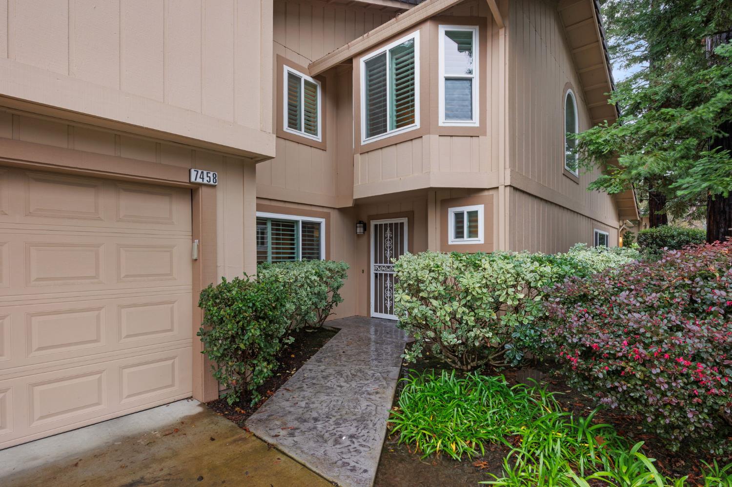 7458 Black Tree Lane