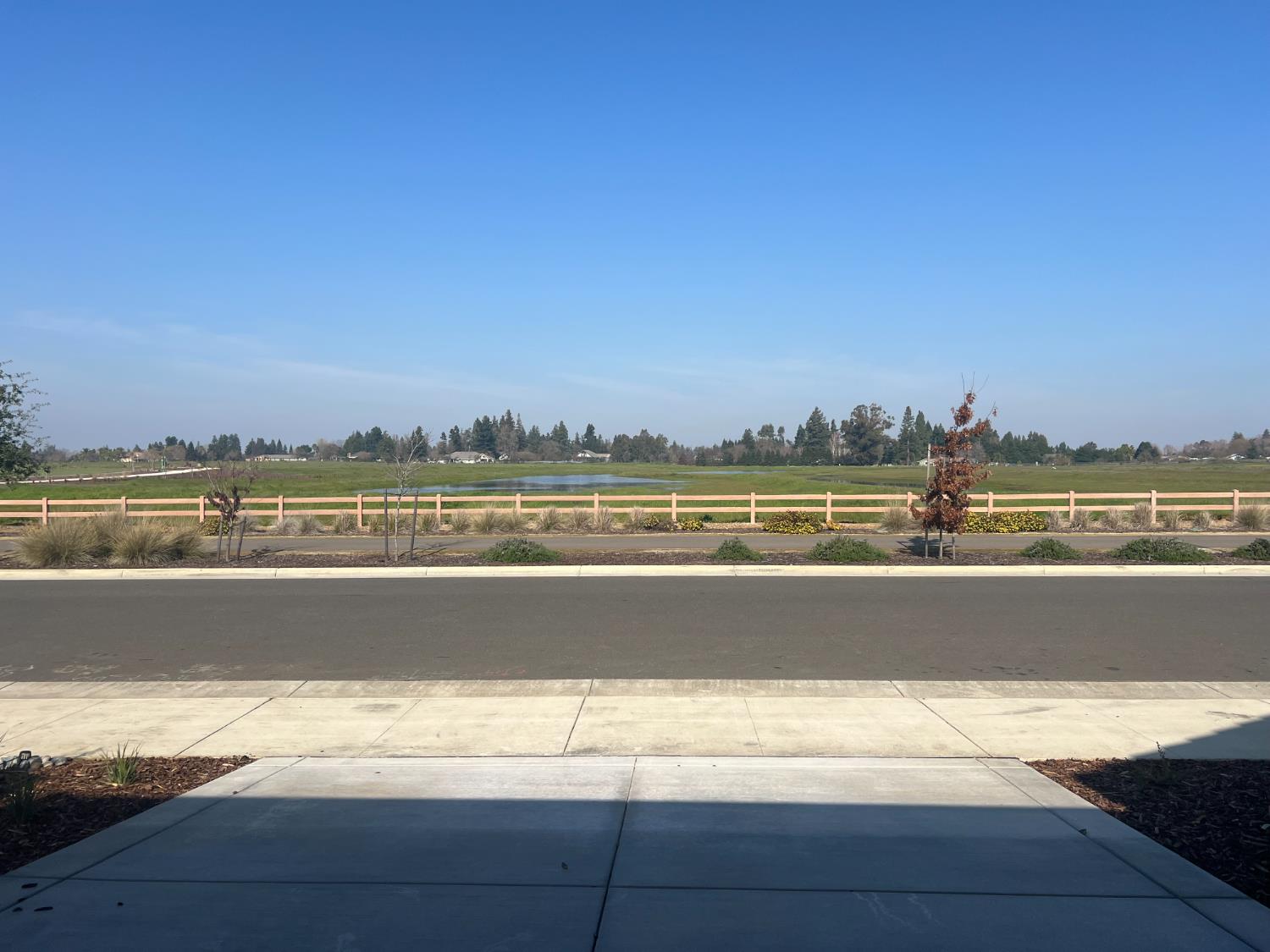 9017 Elliott Springs Drive