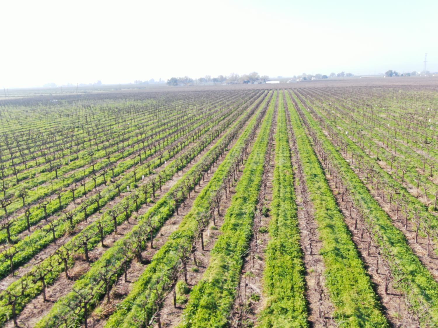 3409 W Woodbridge Road