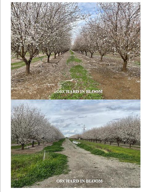 18275 JENSEN LANE Esparto CA 95627