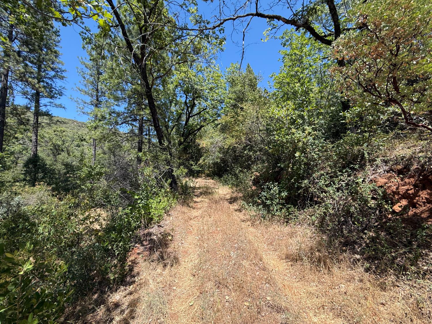 14973 La Place Lane