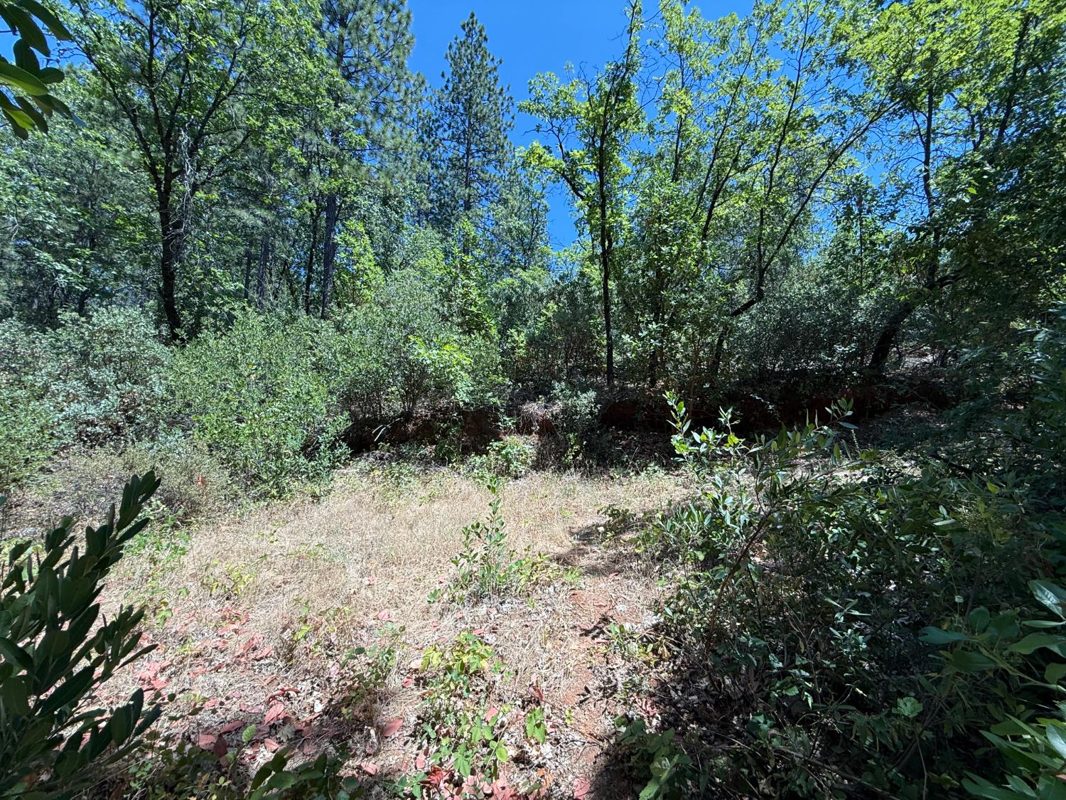 14973 La Place Lane