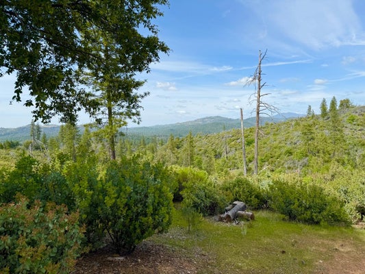 0 FRICOT CITY RD, SHEEP RANCH, CA 95246 - Image f96fefd2e149af701f6e99d17abe739d/1504833358