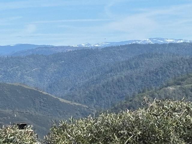 120 Darlington Avenue