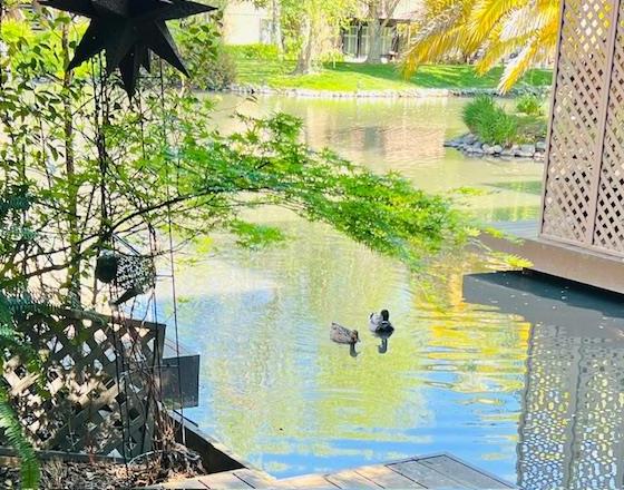 2424 Larkspur Lane 217