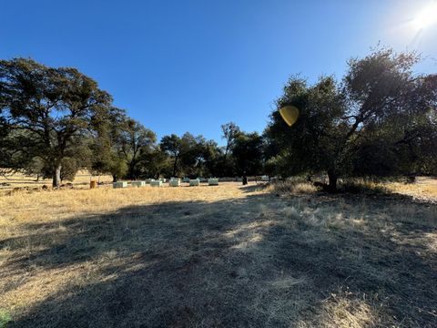 MLS: 224127966