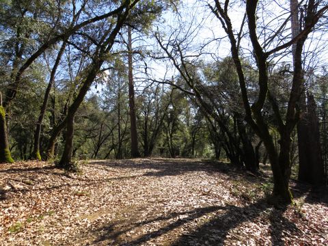 0 Forest Lake Place Colfax CA 95713