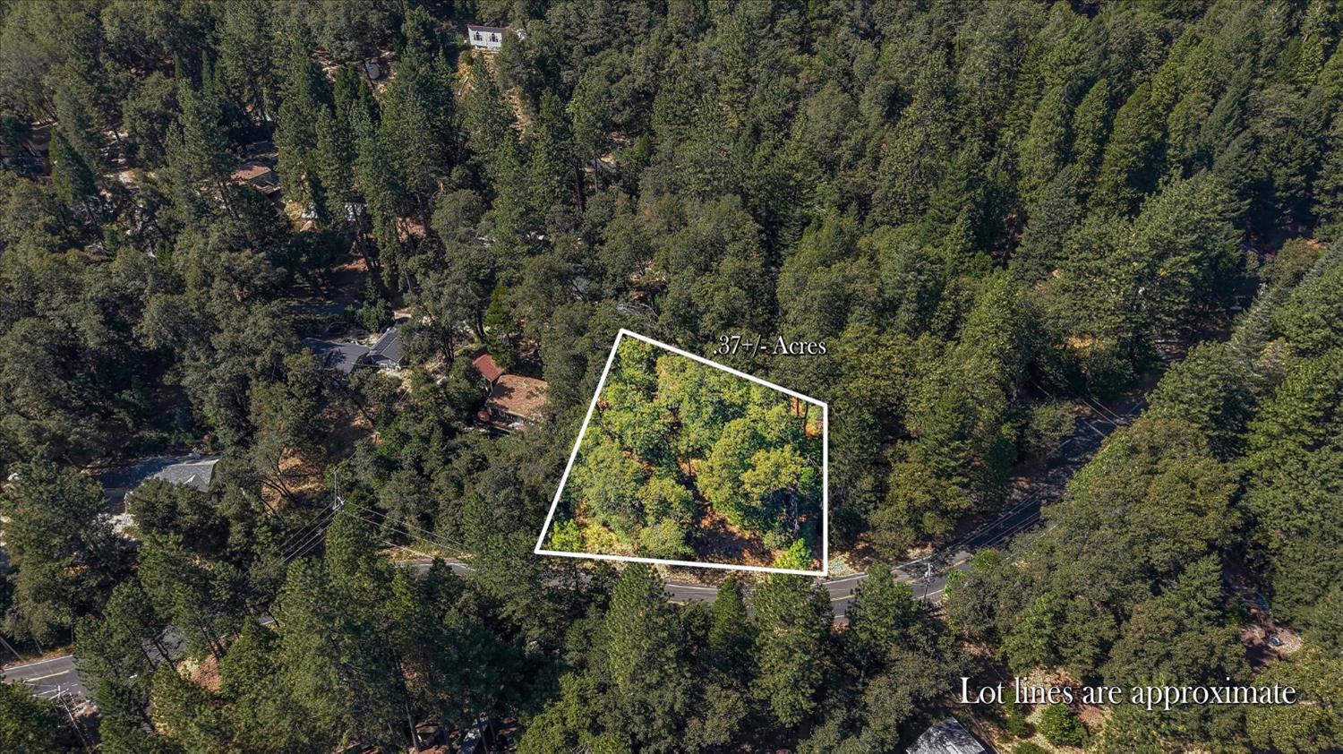 12277 Pawnee Trail