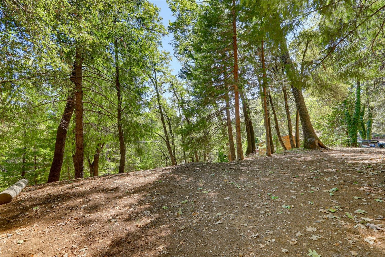 12277 Pawnee Trail