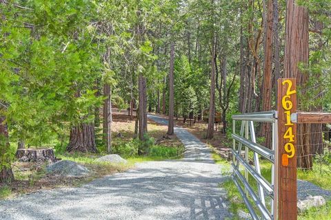 26149 Buckhorn Lane, Pioneer, CA 95666 - MLS#: 225058492