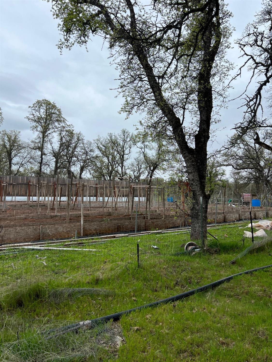 Bangor, California 95914, United States, ,Land,Active,87632