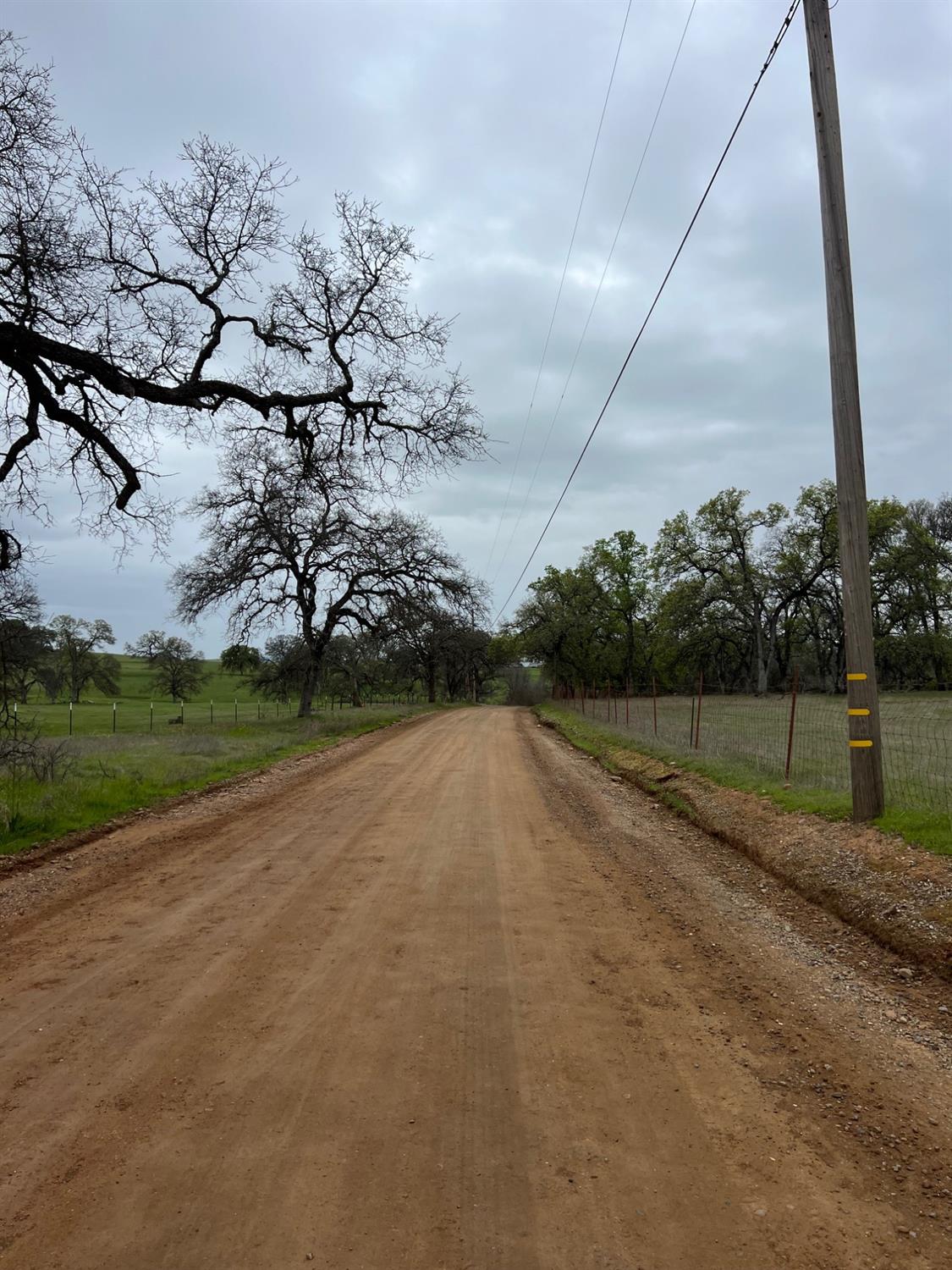 Bangor, California 95914, United States, ,Land,Active,87632