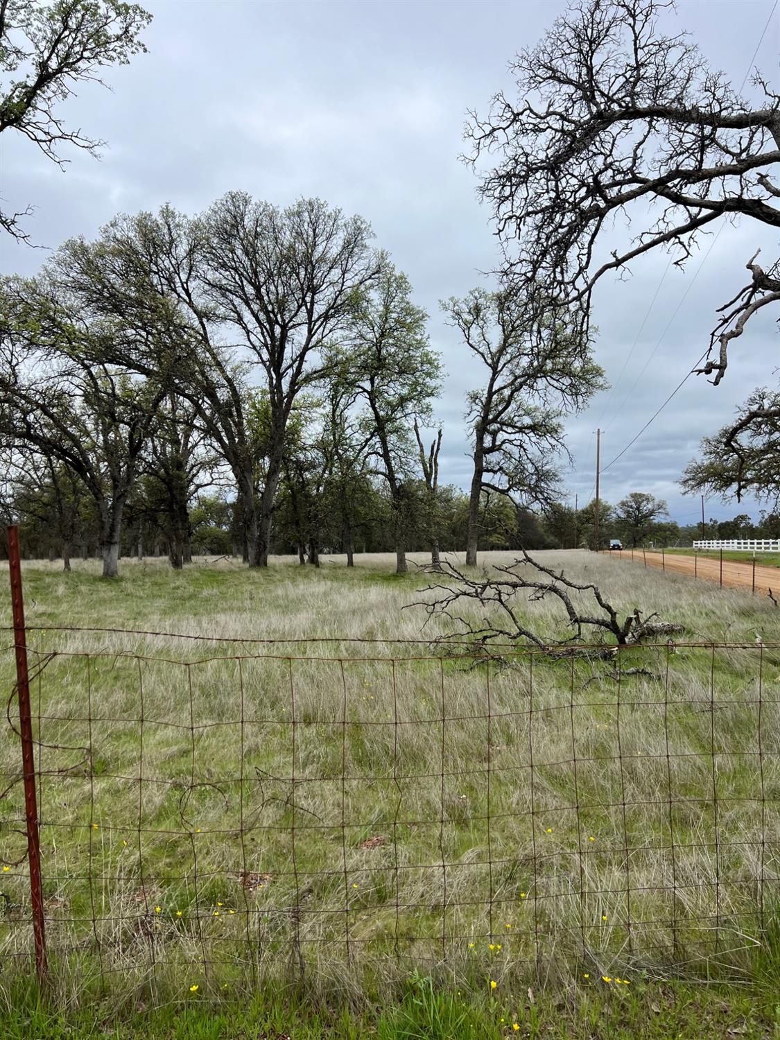 Bangor, California 95914, United States, ,Land,Active,87632