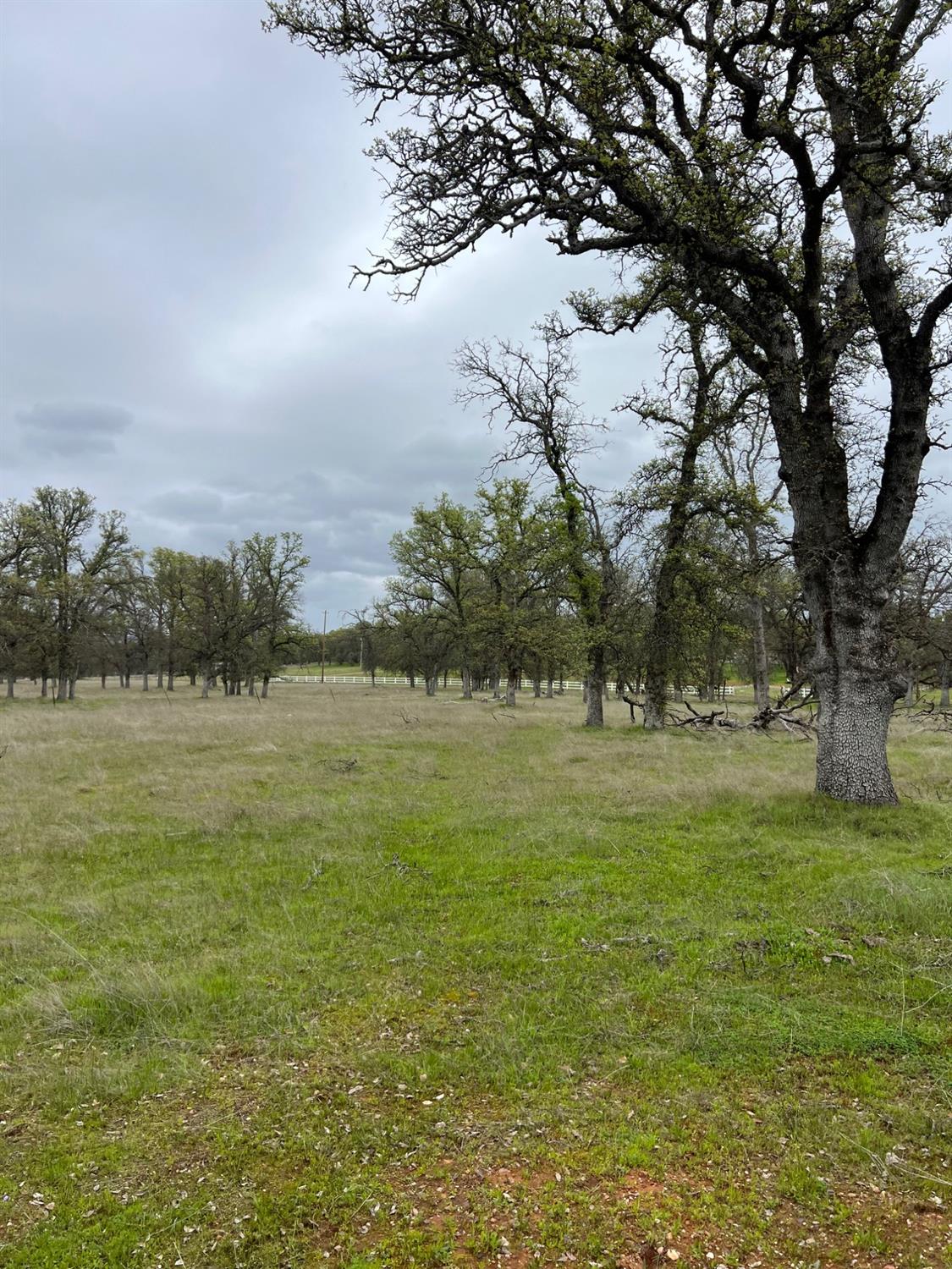 Bangor, California 95914, United States, ,Land,Active,87632