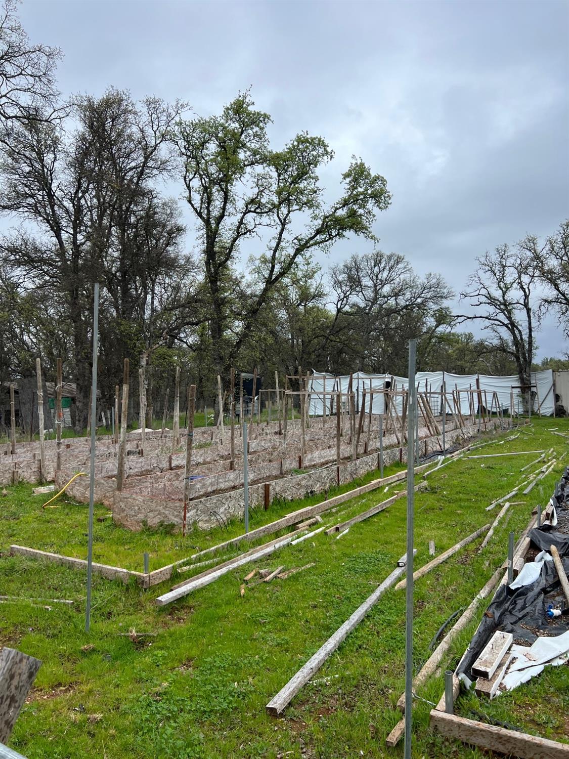 Bangor, California 95914, United States, ,Land,Active,87632