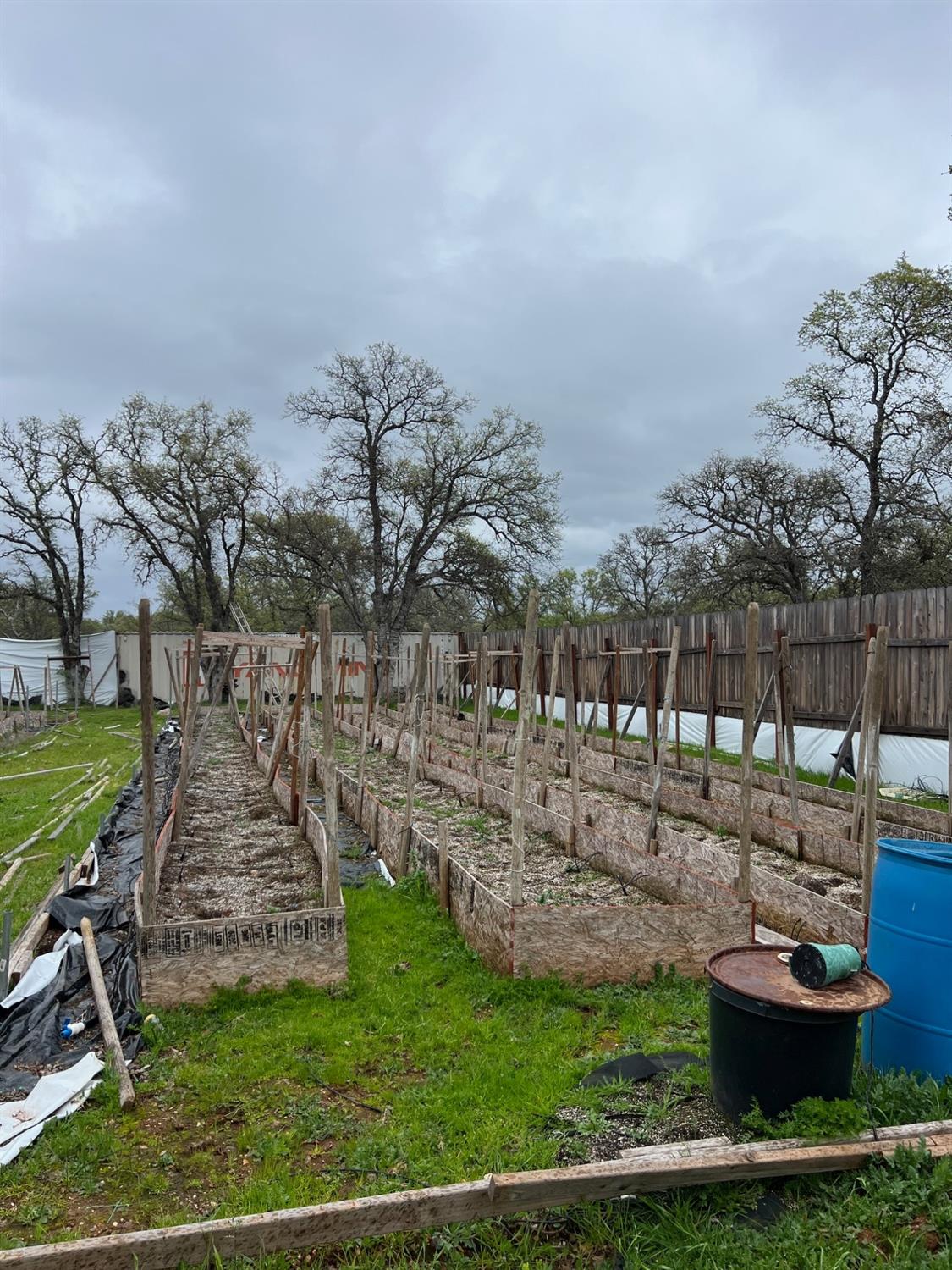 Bangor, California 95914, United States, ,Land,Active,87632