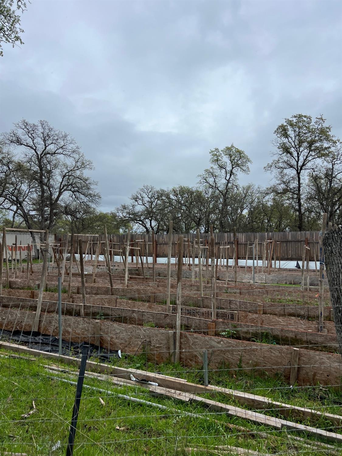 Bangor, California 95914, United States, ,Land,Active,87632