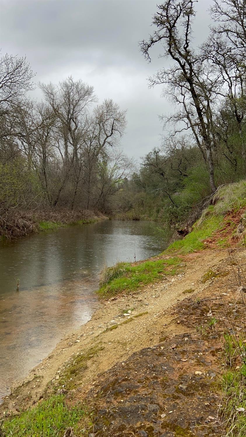 Bangor, California 95914, United States, ,Land,Active,87632