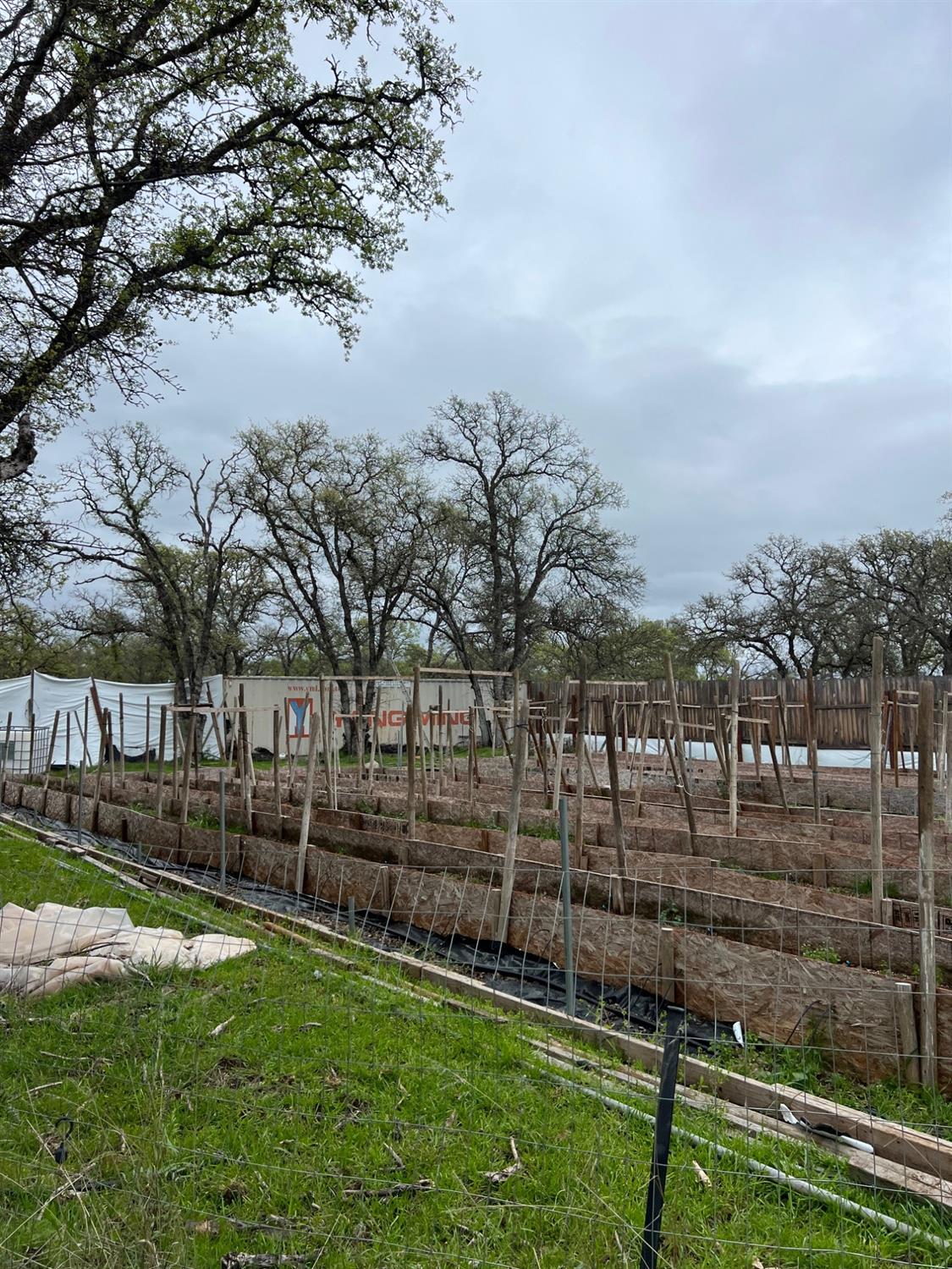 Bangor, California 95914, United States, ,Land,Active,87632