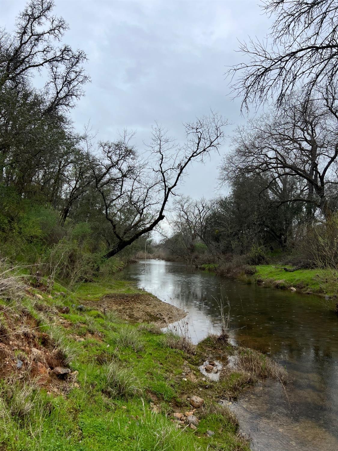 Bangor, California 95914, United States, ,Land,Active,87632