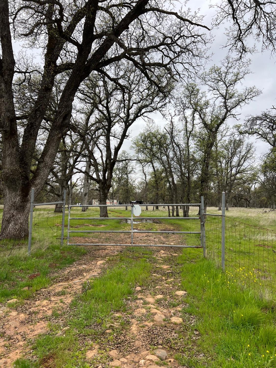 Bangor, California 95914, United States, ,Land,Active,87632