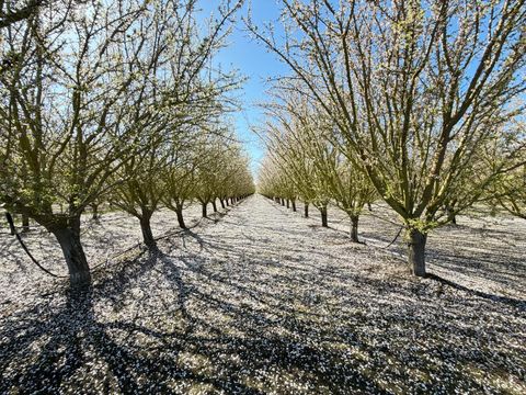 7520 W Howard Road Stockton CA 95206